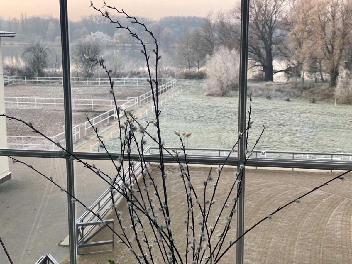 Tamerlan Khmelʼnytsʼkyy Exteriör bild